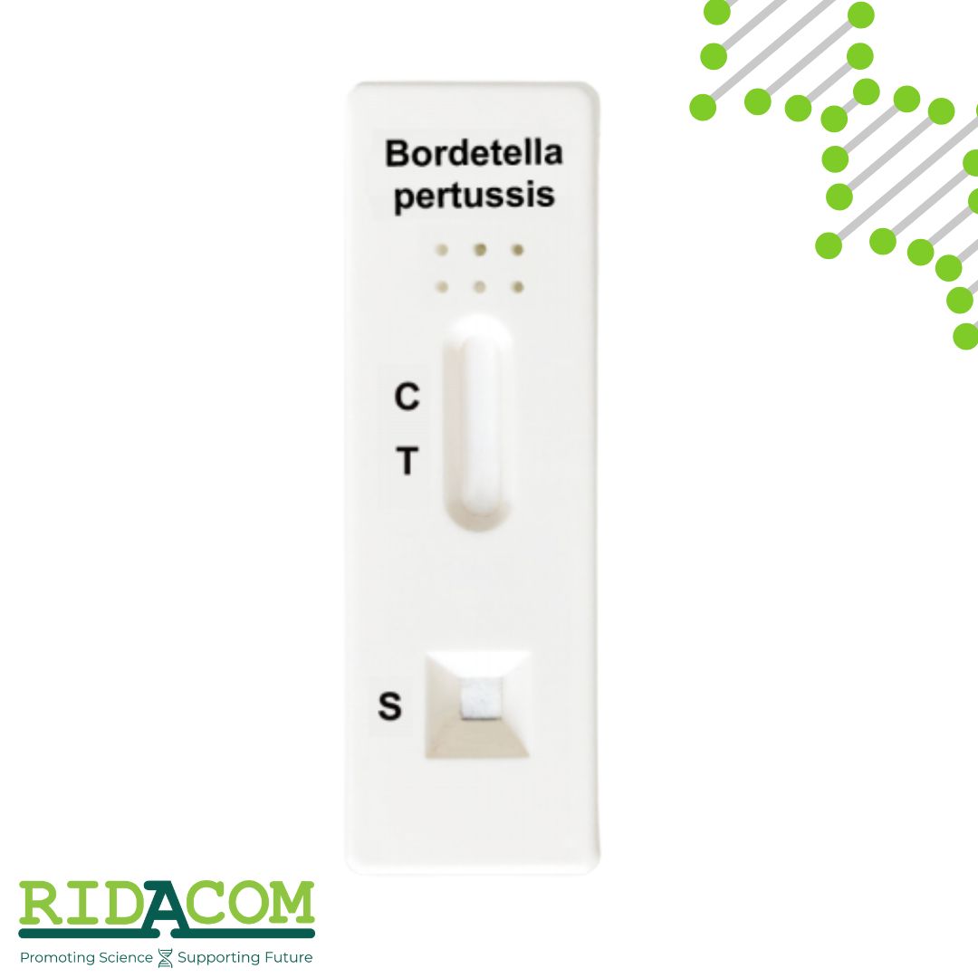 Beright Bordetella pertussis Antigen Rapid Test